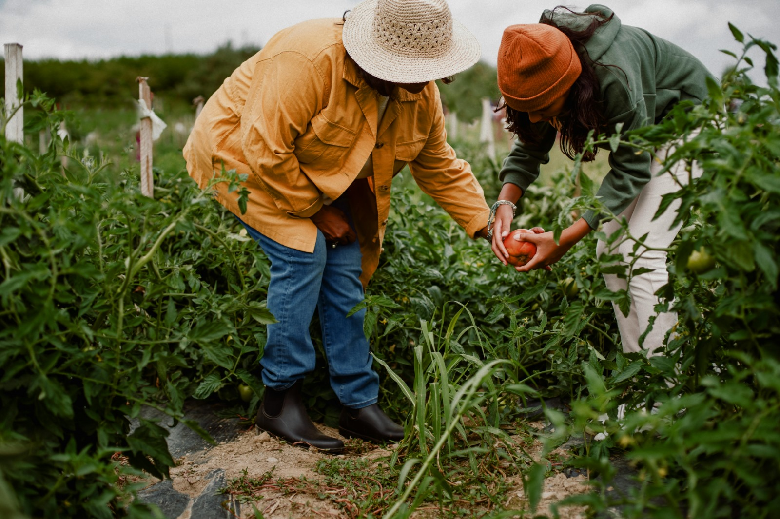garten-_und_landschaftsbau